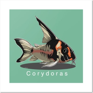 I love Corydoras Posters and Art